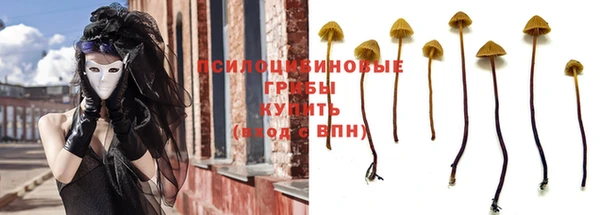 молекула духа Волосово