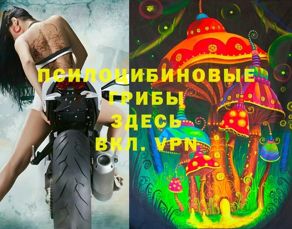 молекула духа Волосово
