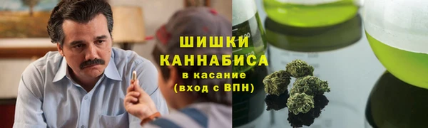 молекула духа Волосово