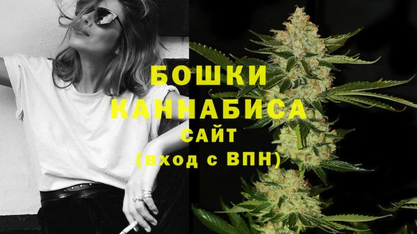молекула духа Волосово