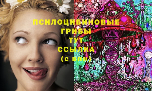 молекула духа Волосово