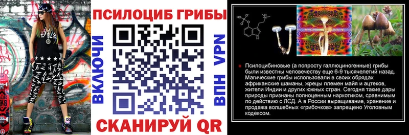 Галлюциногенные грибы Magic Shrooms  mega ссылки  Оренбург 